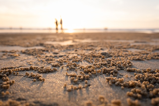 海滩 日出 海 - 上的免费照片