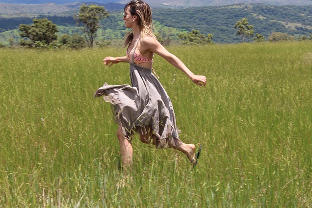 自由 自然 和平 - 上的免费照片