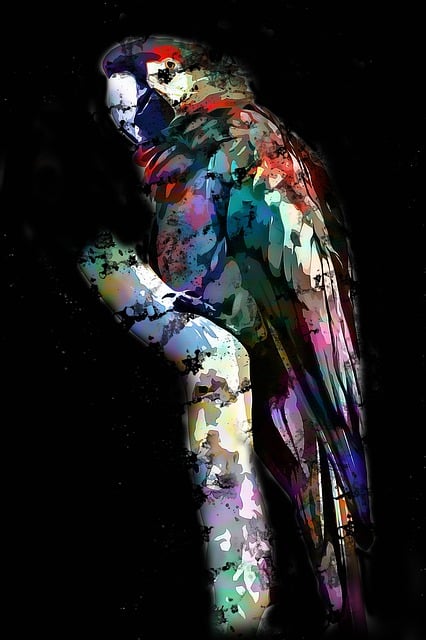 动物 Ara 澳门 喙 - 上的免费图片