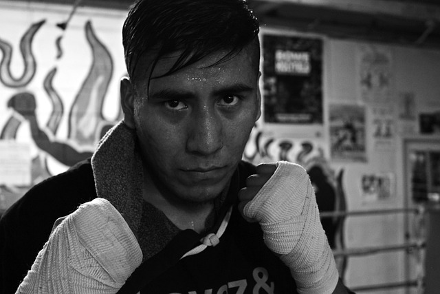 拳击手 拳击 战斗机 - 上的免费照片