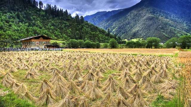 Tibet Village Huts - 上的免费照片