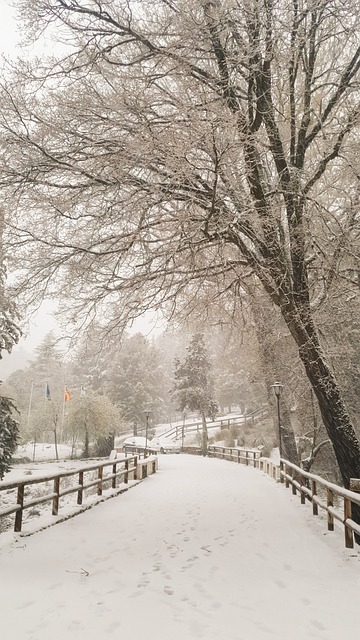 Sierra De Cazorla 雪 自然 - 上的免费照片