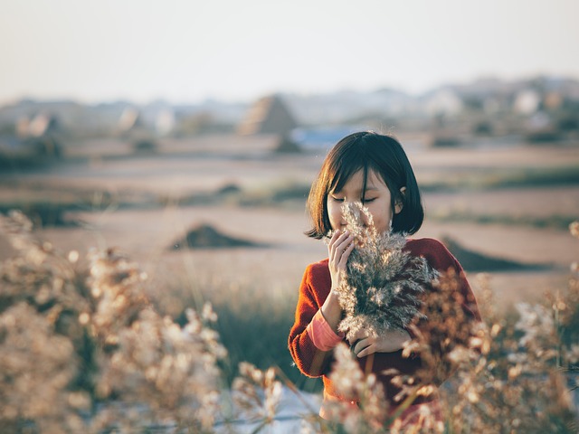 女孩 芦苇 原野 - 上的免费照片