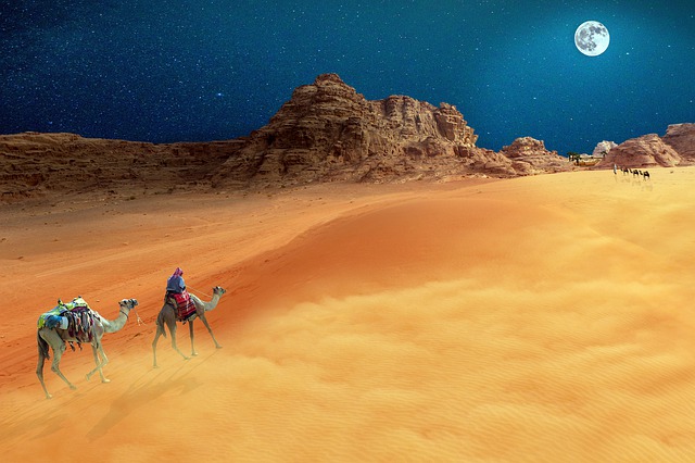 沙漠 沙尘暴 旅行 - 上的免费图片