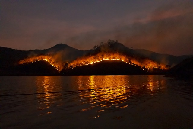 野火 灌木林火 火 - 上的免费照片