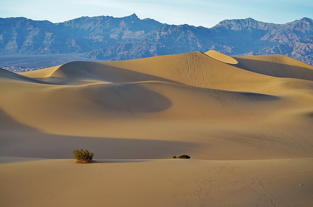 梅斯基特单位 沙丘 沙漠 - 上的免费照片
