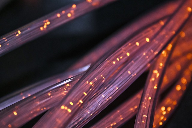 纤维 电缆 金属丝 - 上的免费照片