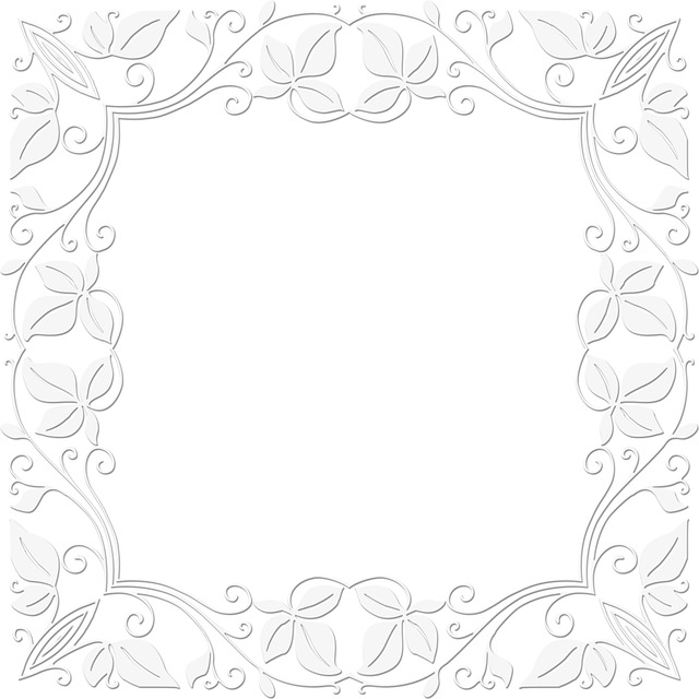 白色边界 框架 白框 - 上的免费图片