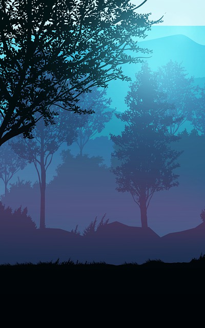 日落 动物 马 - 上的免费图片