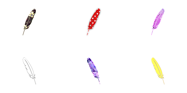 羽毛 羽毛插图 毛图 - 上的免费图片