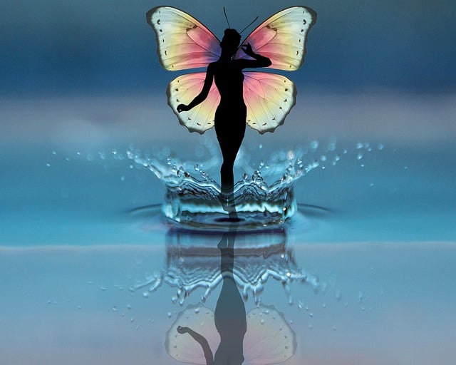 水 痛风 蝴蝶 - 上的免费图片