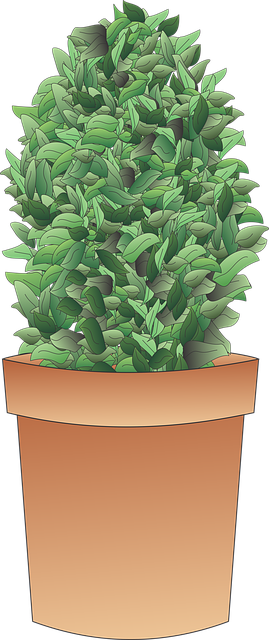 灌木 衬套 植物 - 上的免费图片