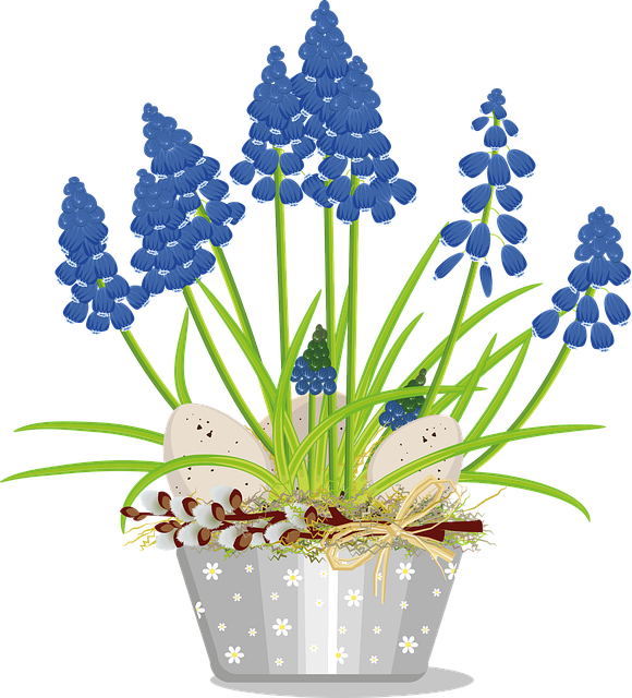 复活节 葡萄风信子 春天 - 免费矢量图形