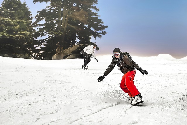 单板滑雪 雪 滑雪板 - 上的免费照片