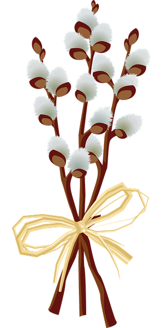 复活节 柳 春天 - 免费矢量图形