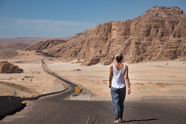 女士 步行 沙漠 - 上的免费照片