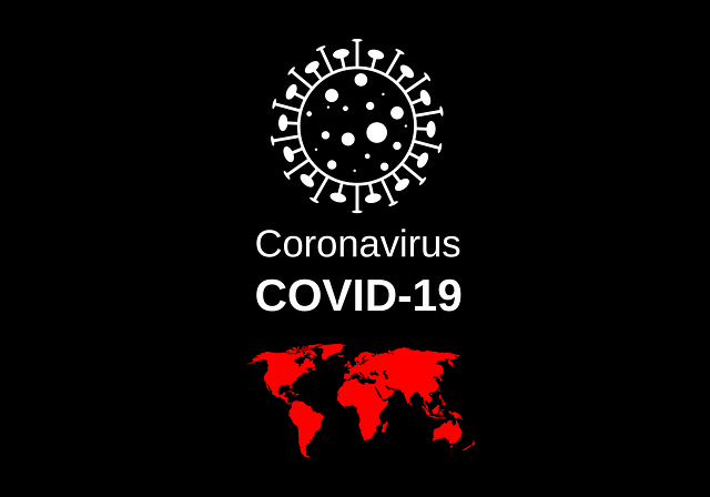 病毒 冠状病毒 严重急性呼吸系统综合症冠状病毒2 - 上的免费图片