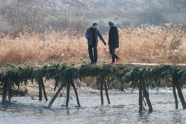 返流的桥梁 夫妻 走 - 上的免费照片