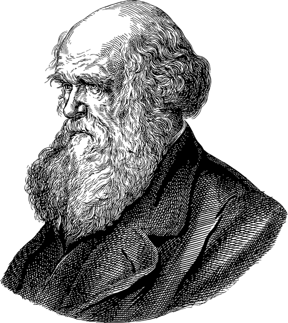 查尔斯 · 达尔文 肖像 线条艺术 - 免费矢量图形