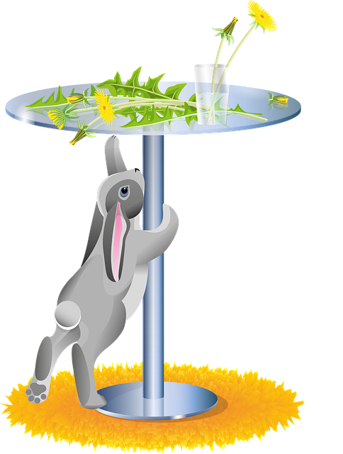 兔子 野兔 动物 - 免费矢量图形