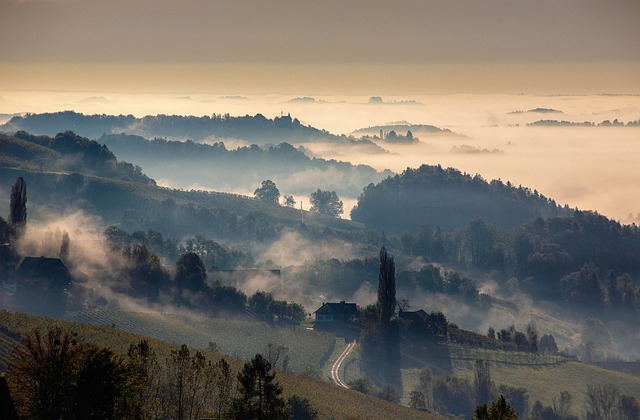 奥地利 多雾路段 自然 - 上的免费照片