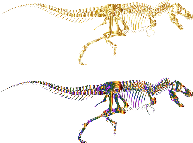 暴龙雷克斯 恐龙 轮廓 - 免费矢量图形