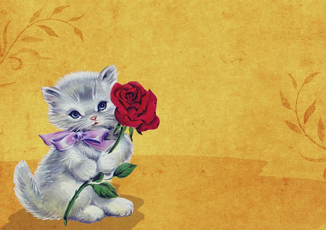 小猫 猫 玫瑰 - 上的免费图片