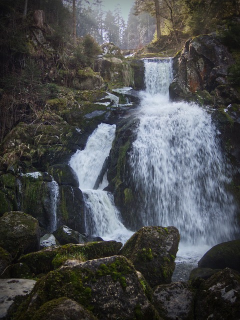 特里贝格 瀑布 黑森林 - 上的免费照片