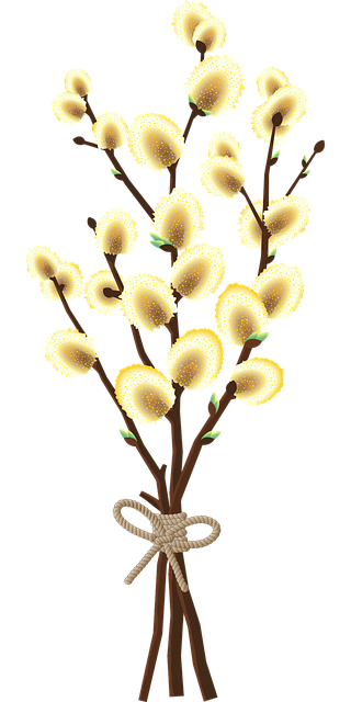 复活节 柳 春天 - 免费矢量图形