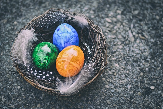 复活节彩蛋 复活节巢 复活节 - 上的免费照片