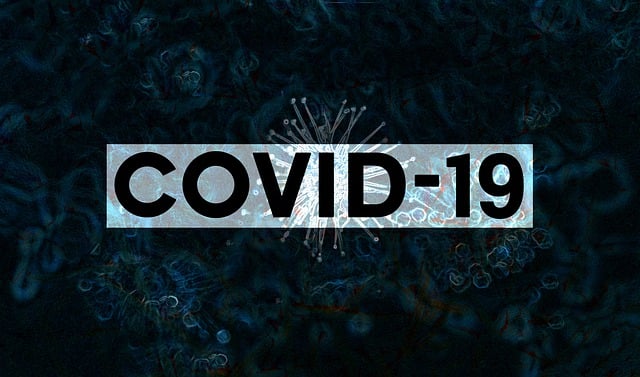 冠状病毒 冠状病毒Covid-19 冠状疾病2019 - 上的免费图片