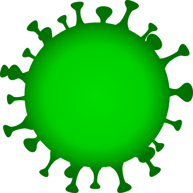 冠状病毒 象征 晕 - 免费矢量图形
