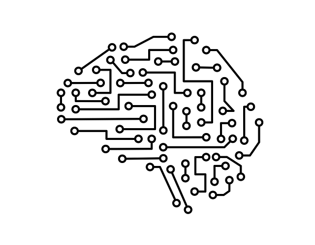 电路 脑 网络 - 免费矢量图形