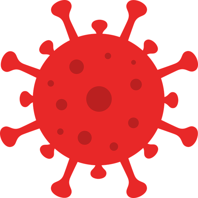 冠状病毒 图标 电晕 - 免费矢量图形