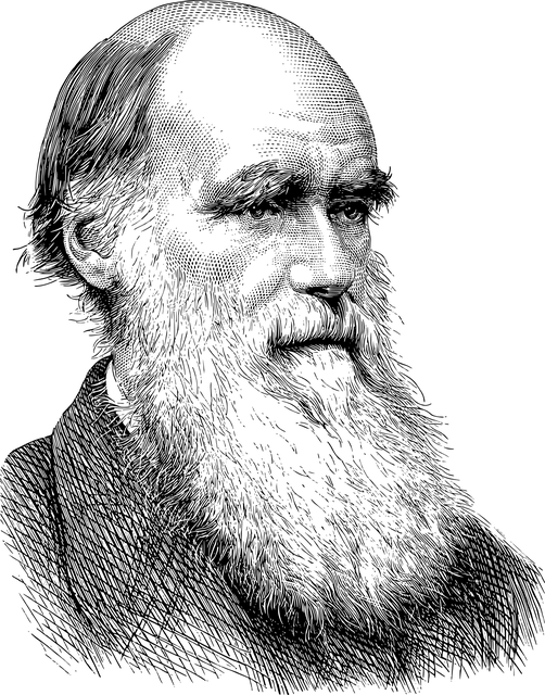 查尔斯 · 达尔文 肖像 线条艺术 - 免费矢量图形