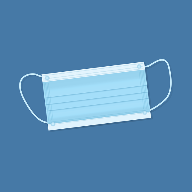 嘴警卫队 呼吸面罩 面具 - 免费矢量图形