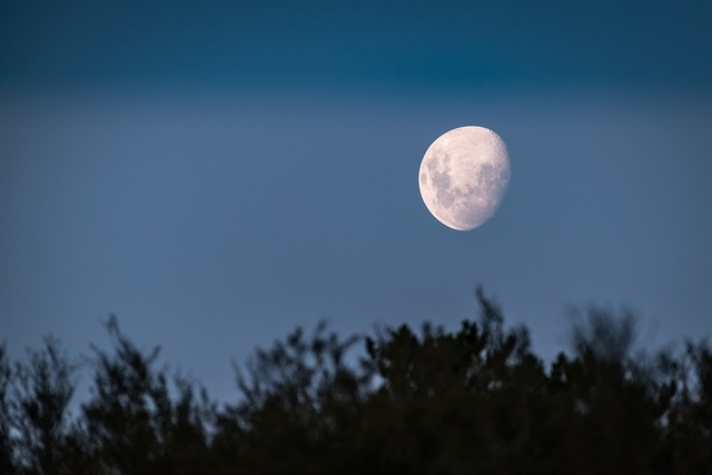 月亮 月光 黄昏 - 上的免费照片