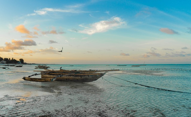 非洲 桑给巴尔岛 海滩 - 上的免费照片