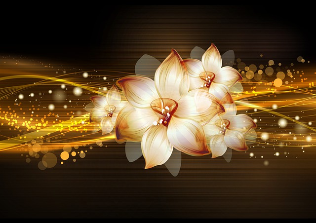 花朵 线条 黄色 - 上的免费图片