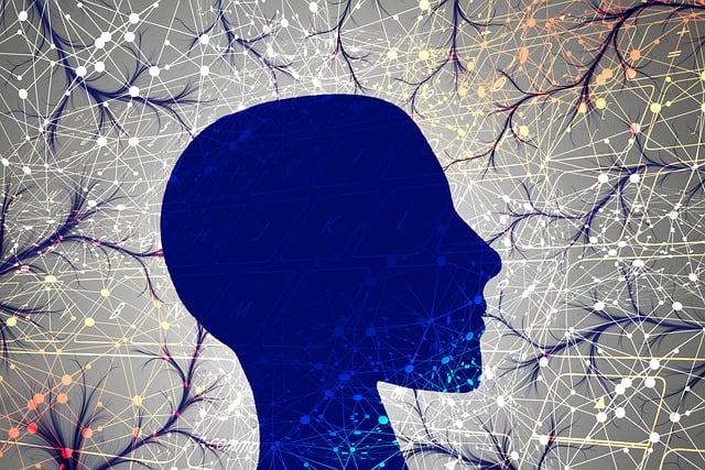 背景 模板 脑 - 上的免费图片