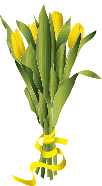 郁金香的郁金香 春天 花花 - 免费矢量图形