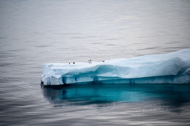 南极洲 冰山 冰 - 上的免费照片