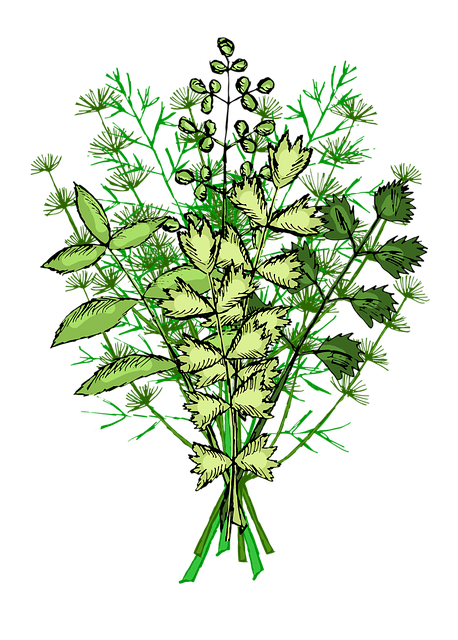 草药 草本植物 香料 - 上的免费图片
