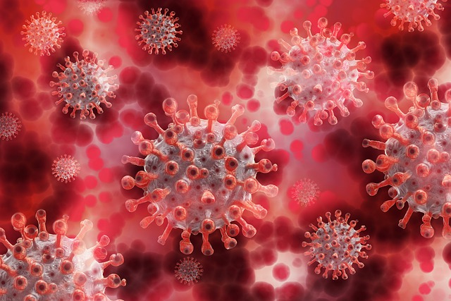 新冠病毒 病毒 血 - 上的免费图片