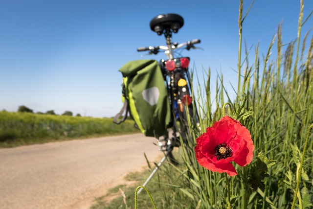 去骑自行车 罂粟 闲暇时间 - 上的免费照片