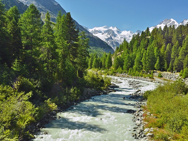 山泉 冰川水 阿尔卑斯山 - 上的免费照片