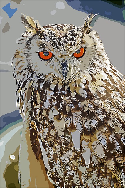 动物 猫头鹰 钢笔 - 上的免费图片