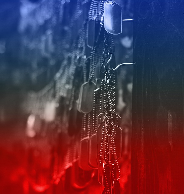 狗牌 纪念日 美国 - 上的免费图片