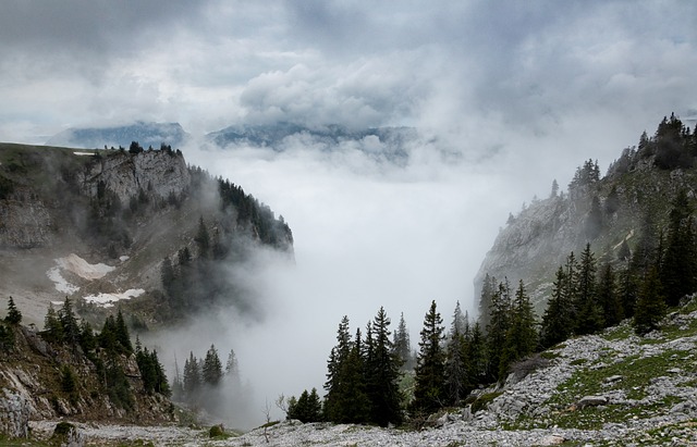 山 雾 景观 - 上的免费照片