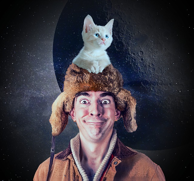男人 猫 小猫 - 上的免费图片